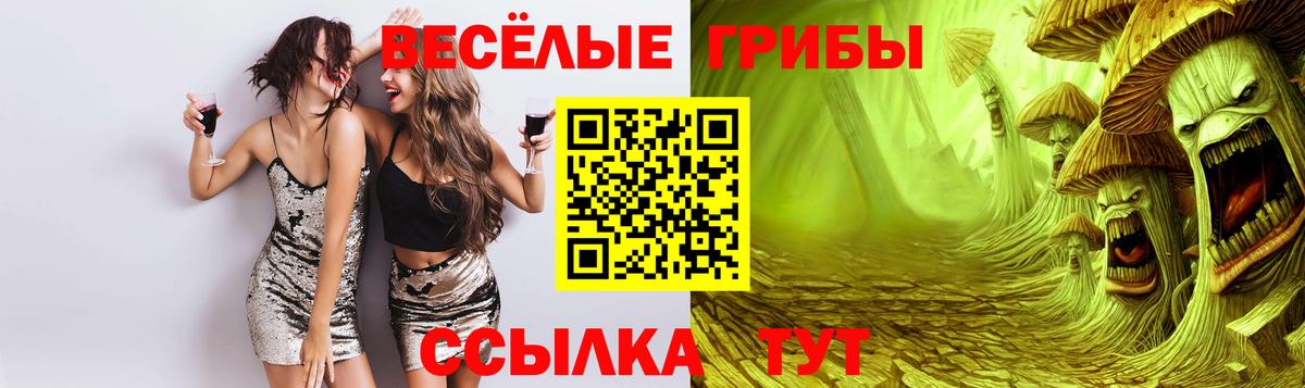 магазин    Псилоцибиновые грибы Psilocybe  Галлюциногенные грибы Magic Shrooms  Вход с VPN  Салехард 