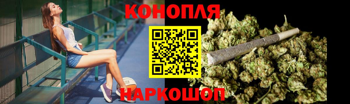 Бошки Шишки план Салехард