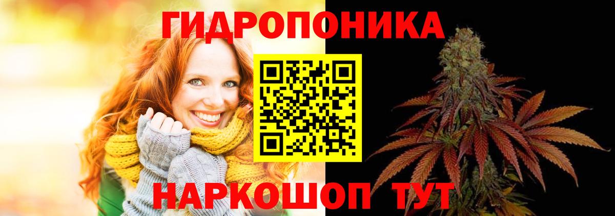 Салехард  Шишки марихуана тримм  Конопля марихуана  Вход с VPN  Бошки Шишки планчик 